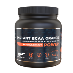 Instant BCAA 2:1:1 + Glutamine + B6